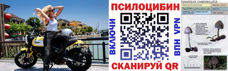 Галлюциногенные грибы Psilocybine cubensis  ОМГ ОМГ сайт  Черемхово 